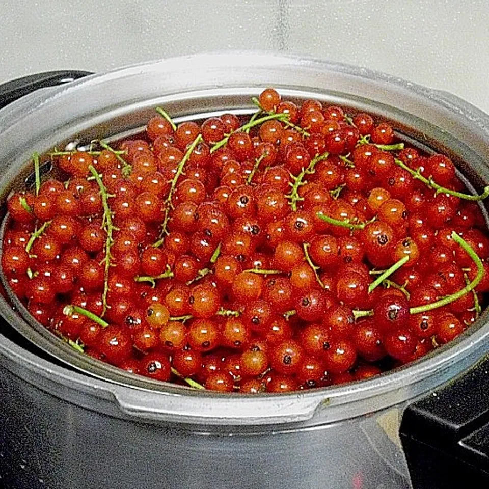 Beeren entsaften im Schnellkochtopf