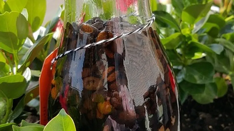 Kaffeeluders Schnaps