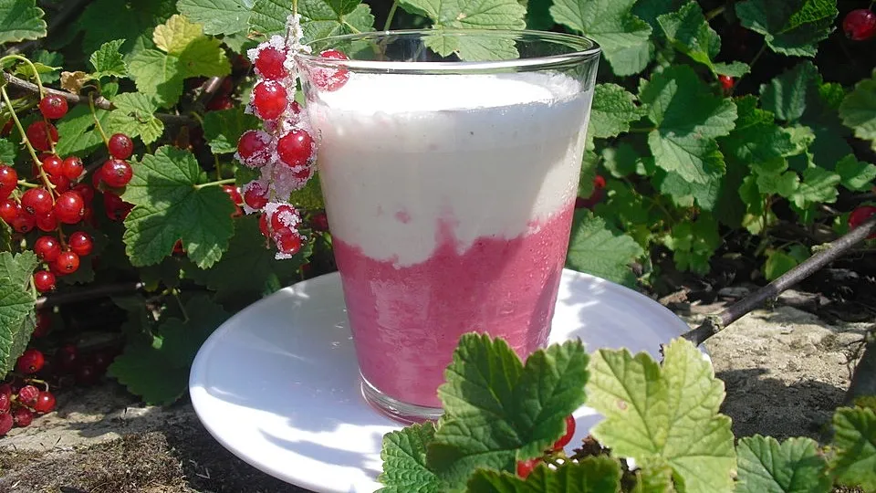 Johannisbeer-Vanille-Shake